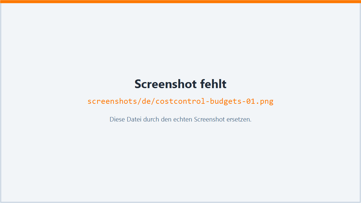 Screenshot: Budgets anlegen
