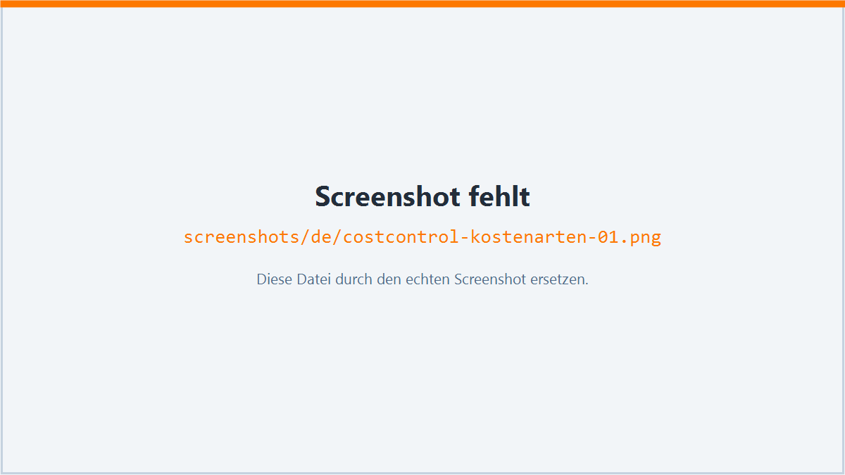 Screenshot: Kostenarten und Zuordnung