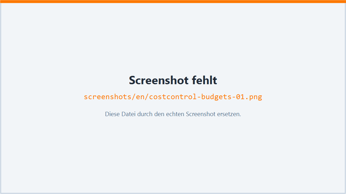 Screenshot: Creating budgets
